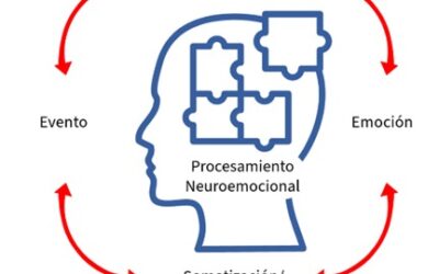 ¿Por qué TLQD es un Anclaje Neurocognitivo Poderoso? Código TLQD