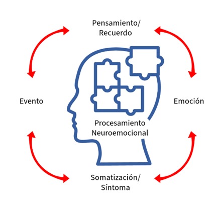 NEURO CONSCIENCIA, TERAPIAS DE ARMONIZACION ENERGETICA,